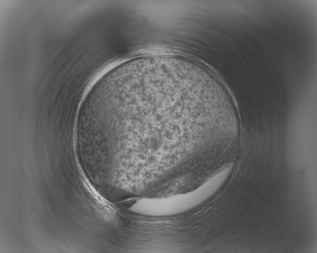 X0000085061195200703261156