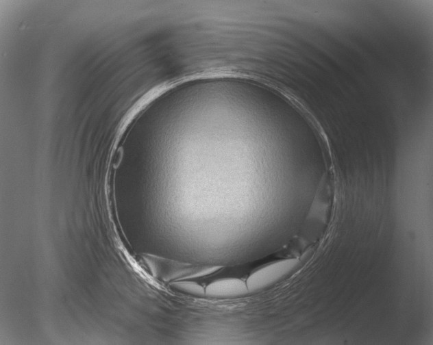 X0000085061197200703261156