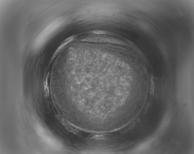 X0000085061198200703261156