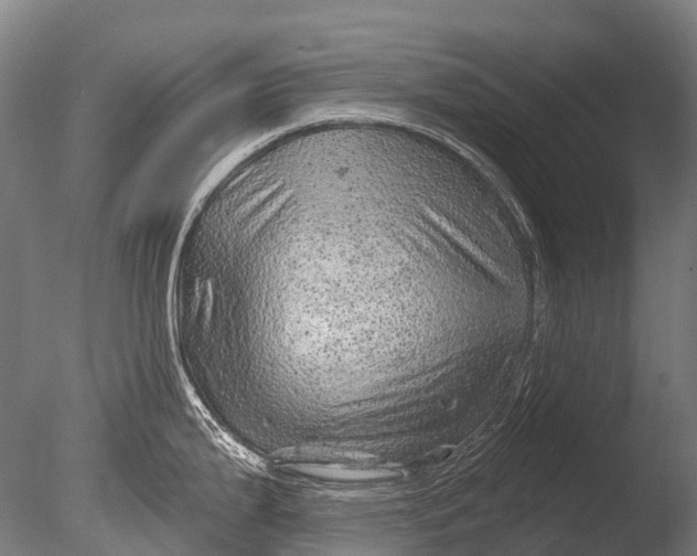 X0000085061199200703261156