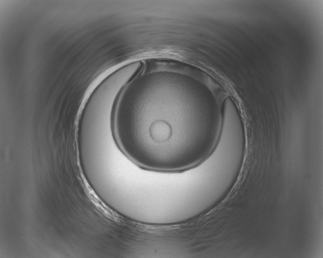 X0000085061200200703261156