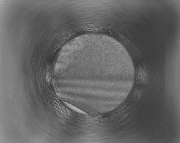 X0000085061202200703261155