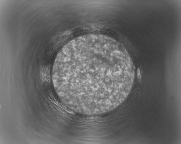 X0000085061203200703261155