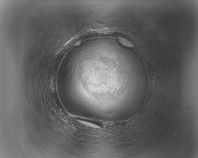 X0000085061205200703261155