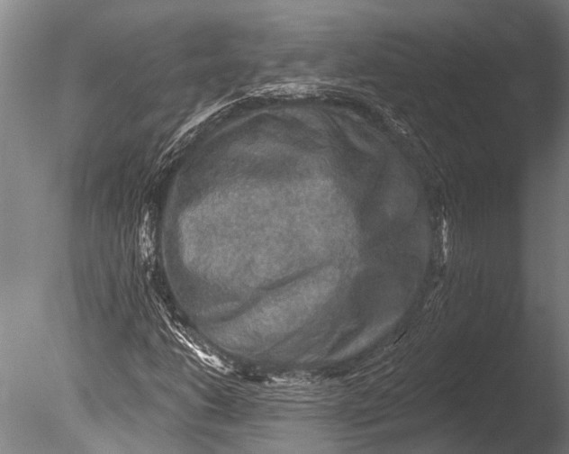 X0000085061206200703261155