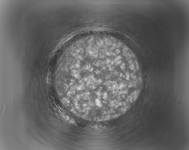 X0000085061207200703261155