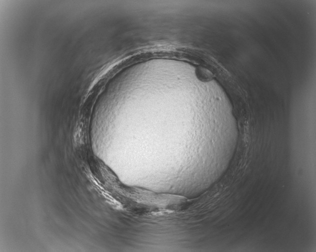 X0000085061208200703261155