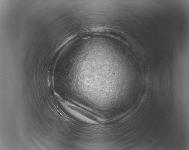 X0000085061209200703261155