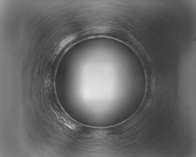 X0000085061210200703261155