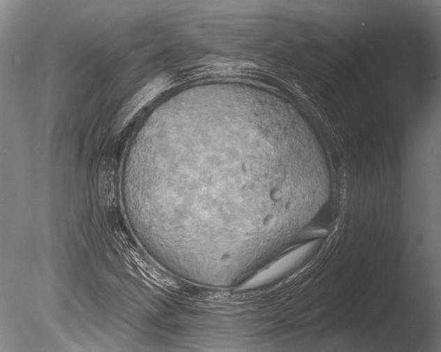 X0000085061211200703261155