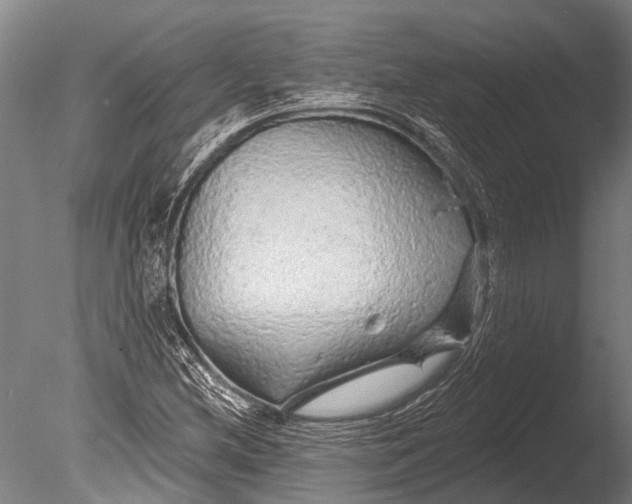 X0000085061212200703261155