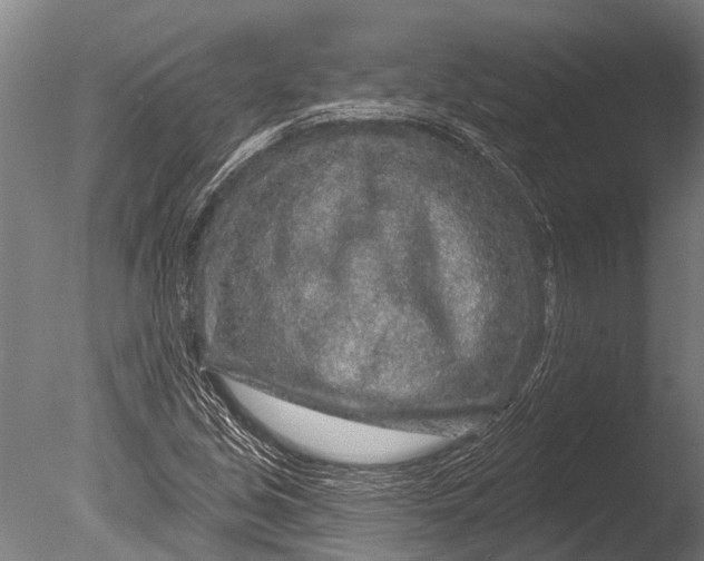 X0000085061213200703261155