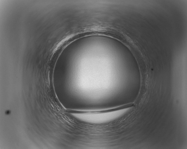 X0000085061214200703261155