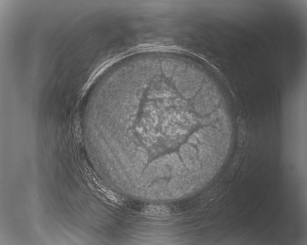 X0000085061215200703261155