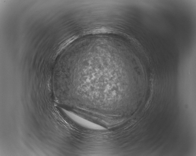 X0000085061217200703261155