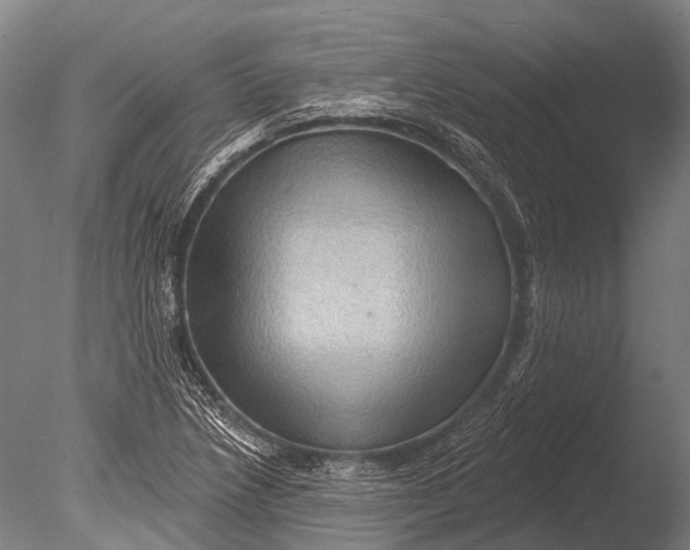 X0000085061218200703261155