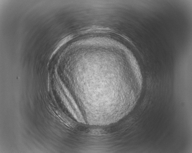 X0000085061219200703261156