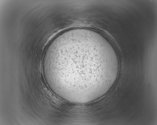 X0000085061220200703261156