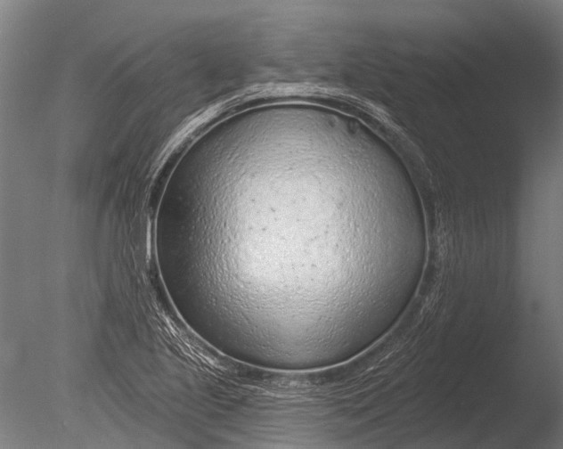 X0000085061221200703261156