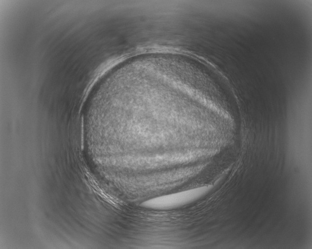 X0000085061223200703261156