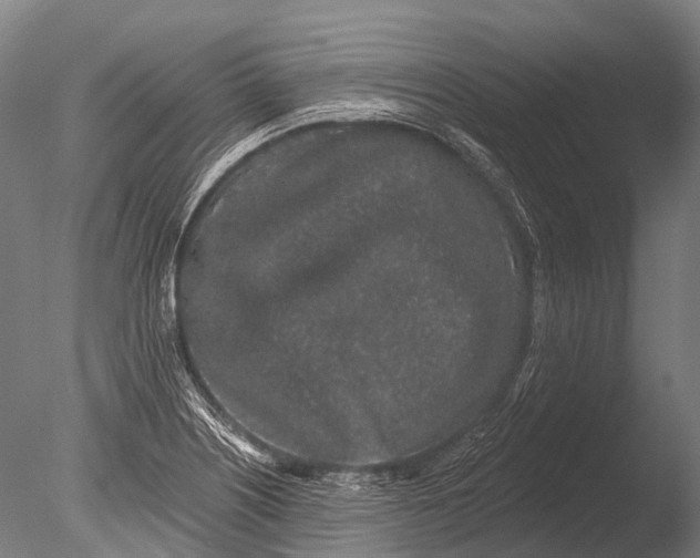 X0000085061226200703261156