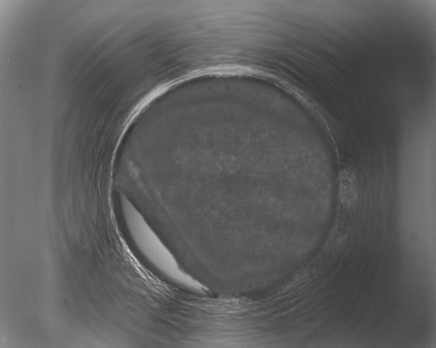 X0000085061229200703261156