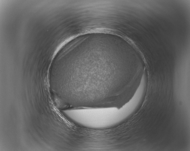 X0000085061230200703261156