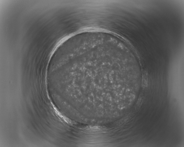 X0000085061231200703261156