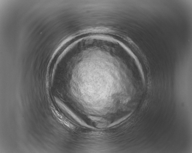 X0000085061232200703261156