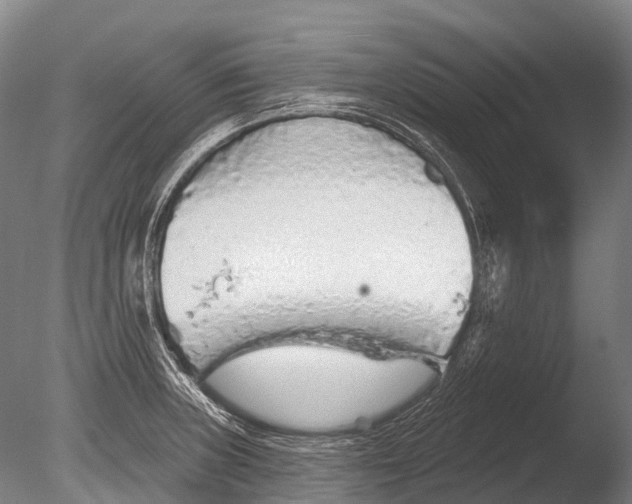 X0000085061235200703261156