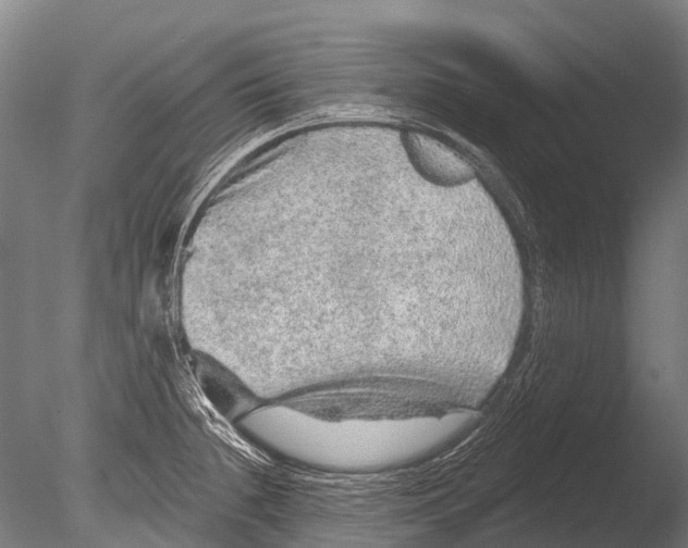 X0000085061236200703261156