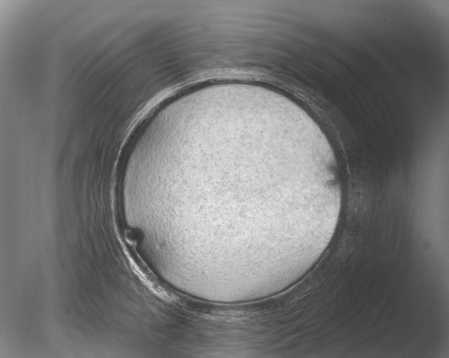 X0000085061237200703261156