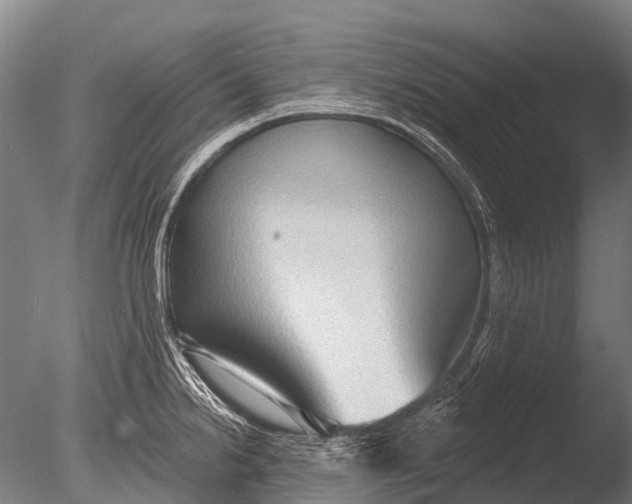 X0000085061238200703261156