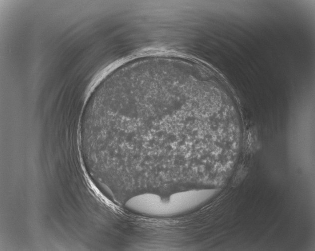 X0000085061239200703261156