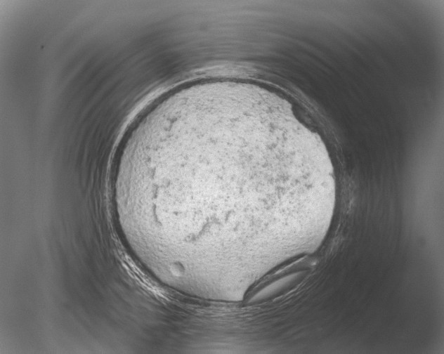 X0000085061240200703261156