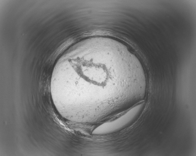 X0000085061241200703261156