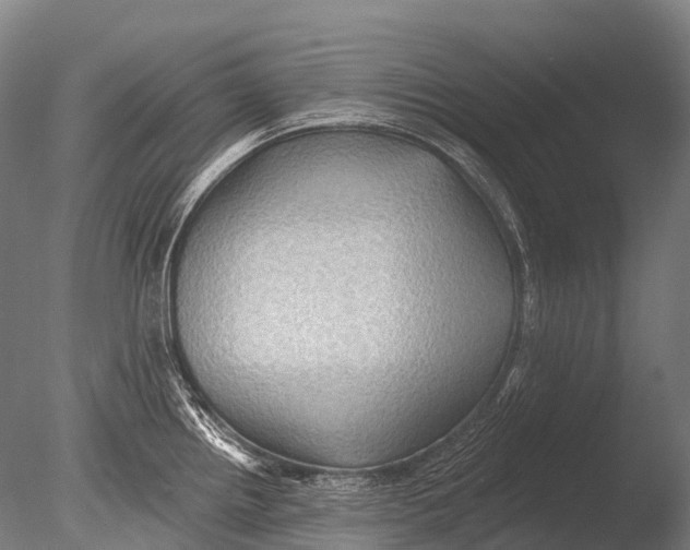 X0000085061242200703261156