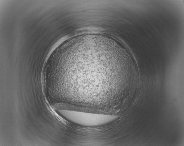 X0000085061243200703261156