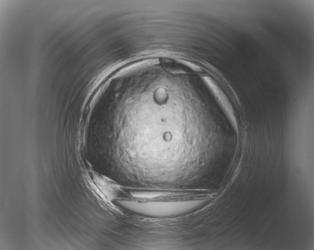 X0000085061244200703261156