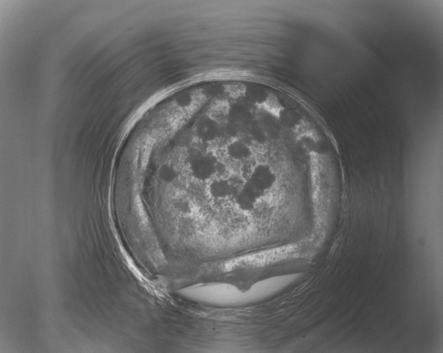 X0000085061245200703261156