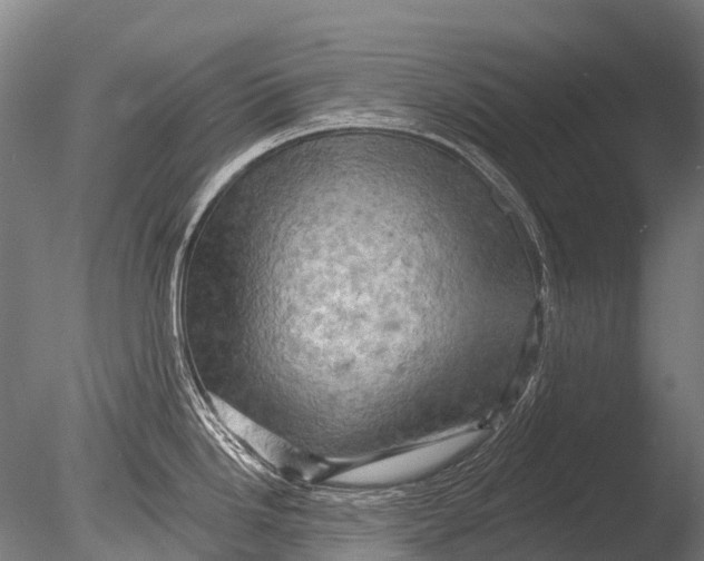 X0000085061246200703261156