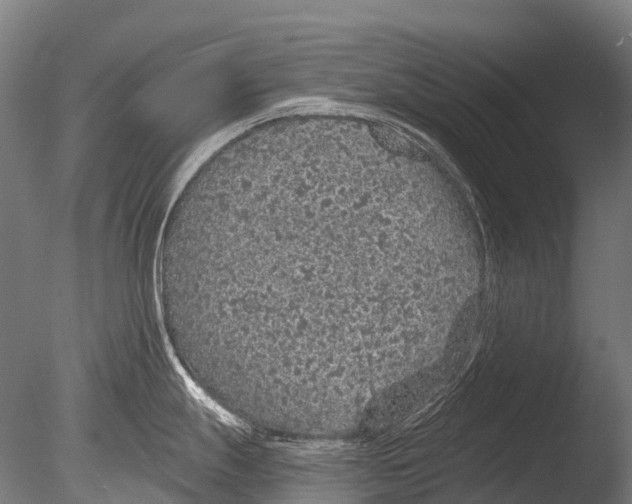 X0000085061247200703261156