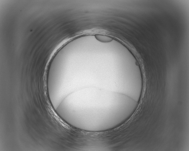 X0000085061248200703261156