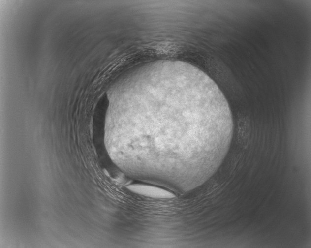 X0000085061249200703261155