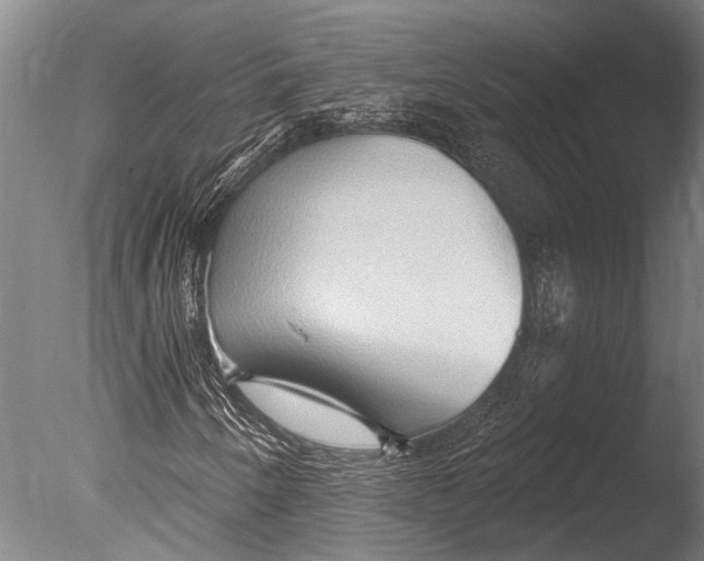 X0000085061250200703261155