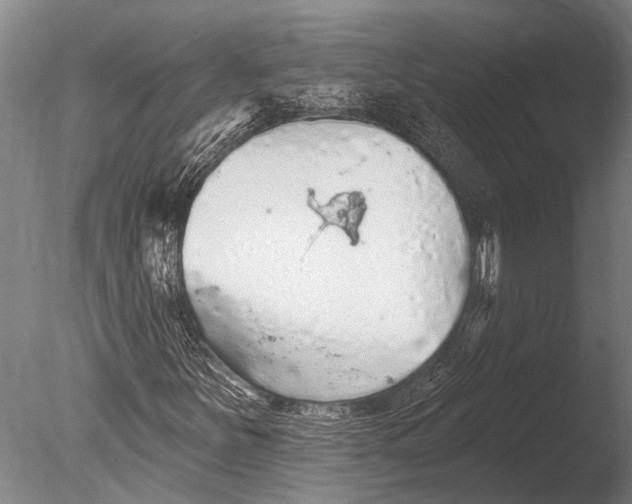 X0000085061251200703261155