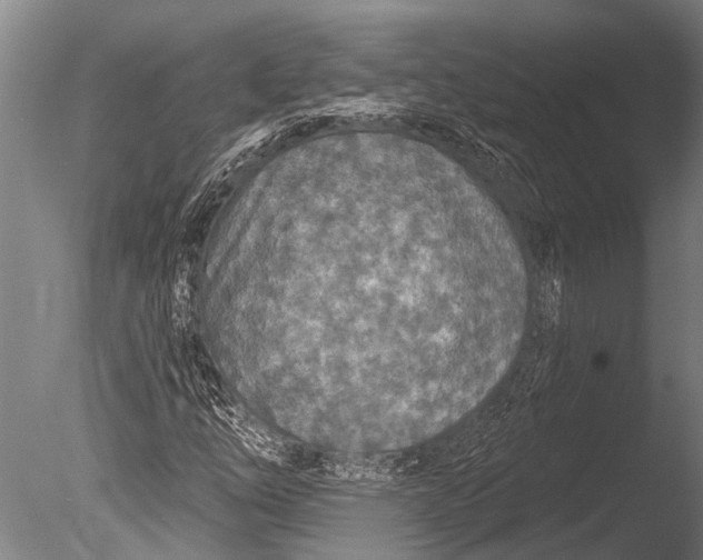 X0000085061254200703261155