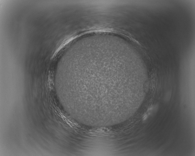 X0000085061255200703261155