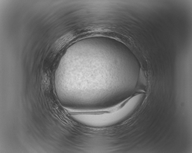 X0000085061257200703261155