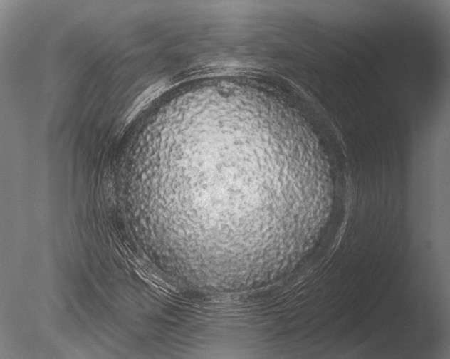 X0000085061259200703261155